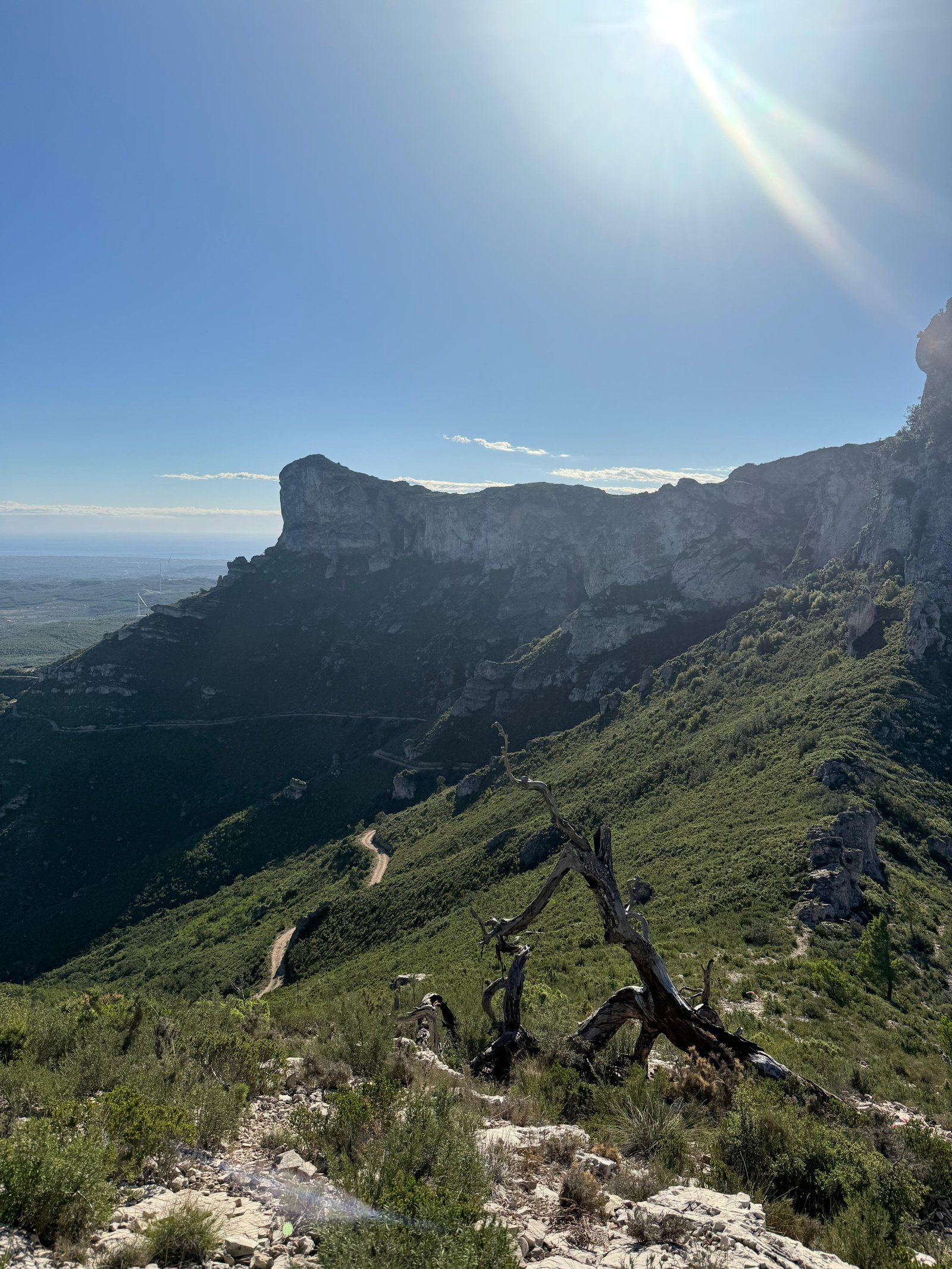 Vista panoràmica de la Travessa Cardó – El Perelló